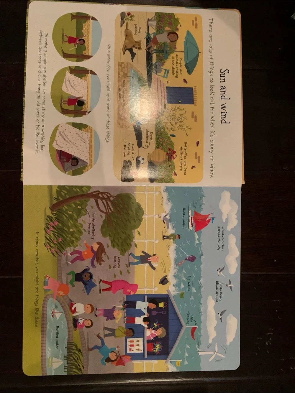 Children’s Natural World Book Set